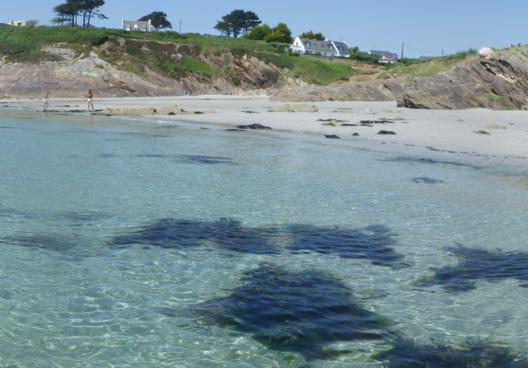 Iroise Vacances / Bretagne Locations Vacances – Retrouvez toutes nos offres de locations de vacances en pointe Bretagne, Finistère au bord de mer ou avec piscine. Profitez de nos locations saisonnières au Conquet, Brest etc et d’un accès privilégié vers les îles d’Ouessant, de Molène et de Sein.