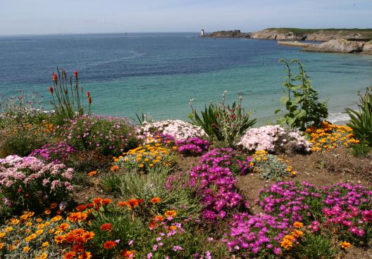 Locations de vacances sur Le Conquet 